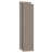 Light Walnut
