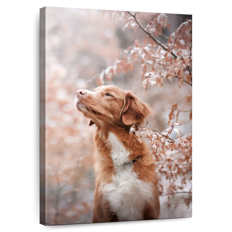 Brampt Winter Toller Dog, 39" H x 26" W