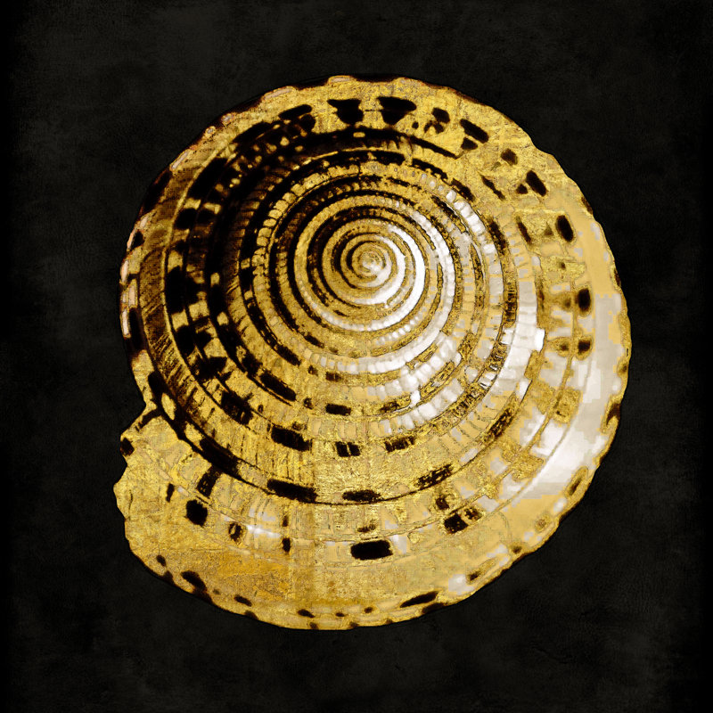 Golden Ocean Gems IV by Caroline Kelly - Wrapped Canvas Print, 76cm H x 76cm W