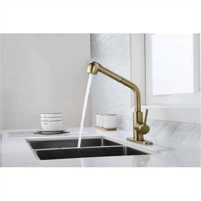 Red Cloud Pull Out Kitchen Faucet