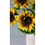 Artificial Purple Sunflower 30"-83566757-83566759