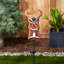 TIKI-AUAHA SOLAR STake