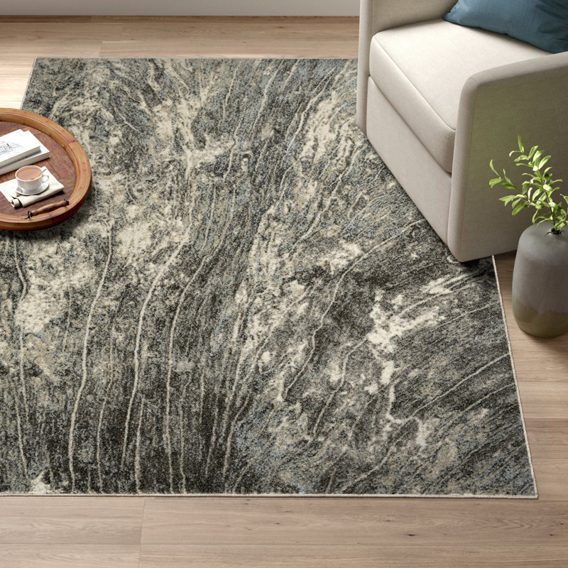 Langston Abstract Gray/Charcoal Area Rug, Rectangle 4" x 6"
