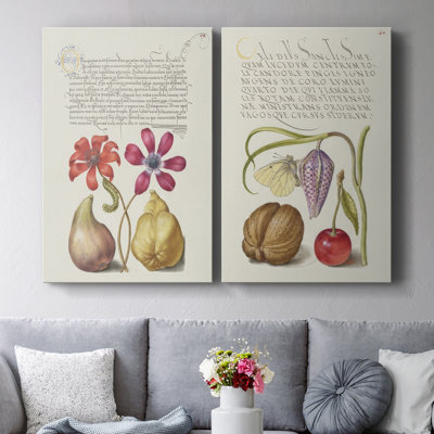 Toile tendue Hoefnagel Tropical