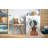 Indoor Rug-230002181