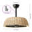 21" Rattan Boho Ceiling Fan with LED Light and Remote Control Included