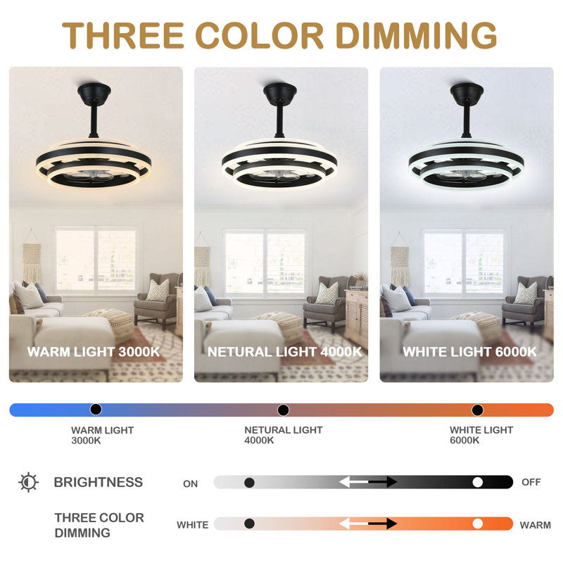 Wyeth 20" Dimmable Ceiling Fan with LED Light and Remote
