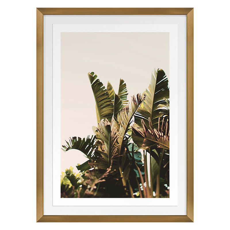 Equaltorial Print by Alicia Bock, Gold Framed, 24" H x 18" W