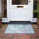 Eliessia Indoor/Outdoor Area Rug with Non-Slip Backing