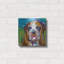 «Bull Dog» par St. Hilaire Elizabeth-203581444