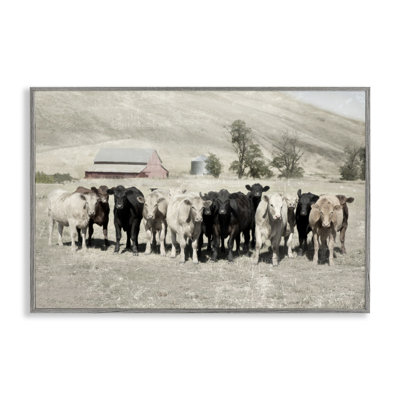 Varied Cattle on Farm Framed Giclee Art by Rhonda Addison