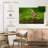 Finch-799902725