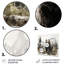 «Bear Wild Majesty II», reproduction d'art sur toile-670470467-632009620-632009621