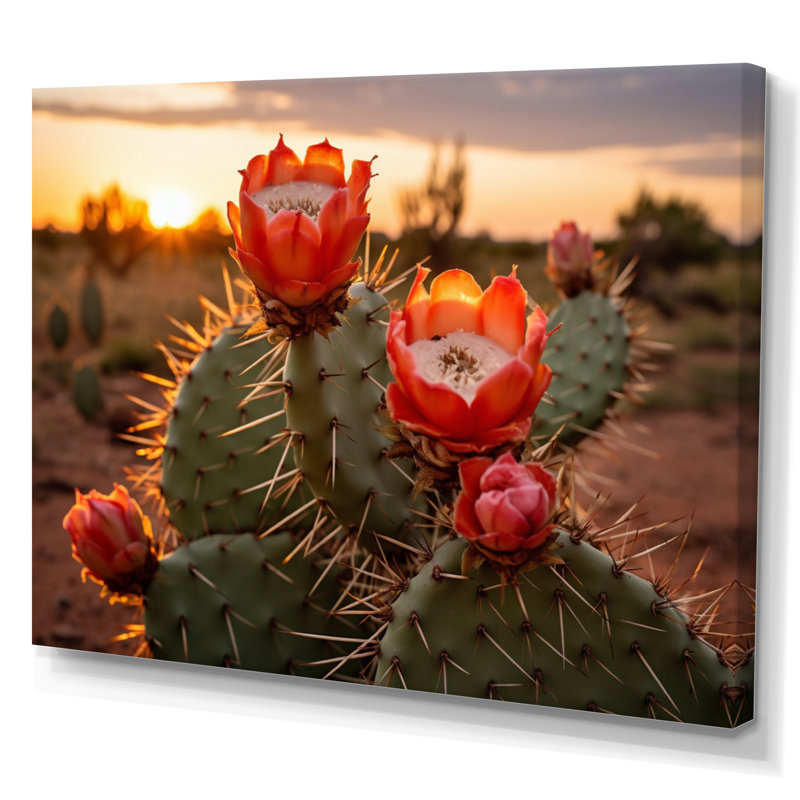 Champ de cactus rouge et vert avec coucher de soleil II - impression, H 30 po x l 40 po x P 1,5 po, Toile tendue