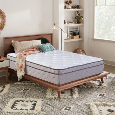 Ravenstein 12" Ultra Plush EuroTop Hybrid Mattress for Motion Isolation & Black by Alwyn Home