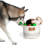 Tucker Murphy Pet™ Fabric Decorative Basket