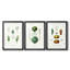 Variétés de fruits et légumes I - Impression encadrée sur mesure de qualité supérieure - 3 pièces-607453591-607453589