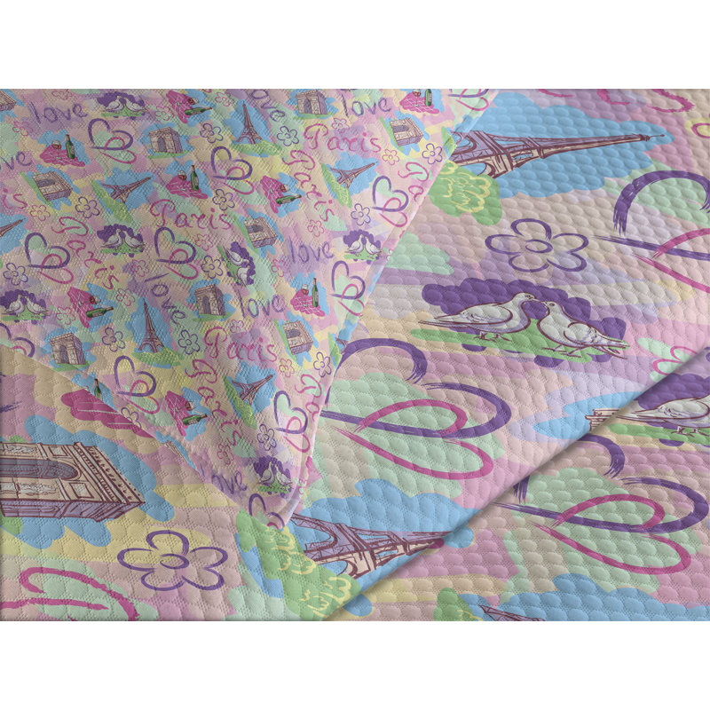 Queen Pink and Blue Quilted Bedspread Set with Pillow Shams