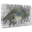 Peacock Feathers In Abstract - Wrapped Canvas-55339456