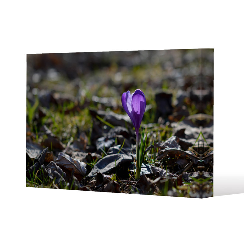 Andrew Lee - Wrapped Canvas Print