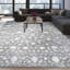 Oriental Area Rug in Gray