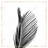 Areca Palm with Gold Line - Botanical – Throw Pillow Cover Only, Double-Sided Print, Insert Not Included