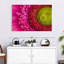 Harberk magnifié Gerbera Daisy-111885634