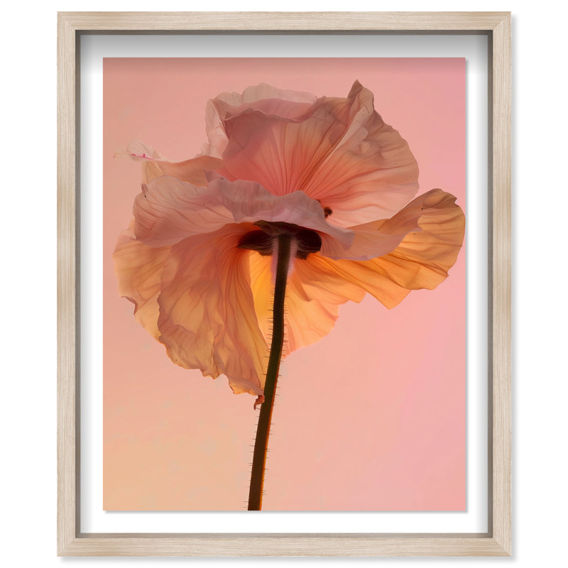 Amber Radiance IV Shadowbox Floral & Botanical Print by Oliver Gal, Black Frame, 16 x 20, 21.5"H x 25.5"W