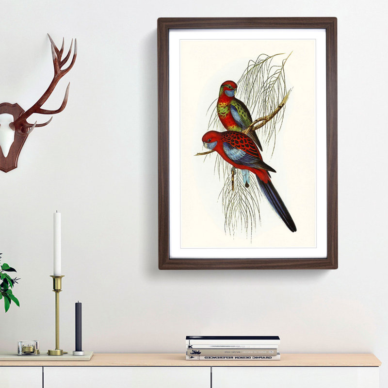 Pennant's Parakeets by Elizabeth Gould - Picture Frame Painting Print, Walnut Framed, 65cm H x 48cm W x 2cm D