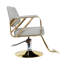 360 Degrees Hydraulic Swivel Salon Chair, Adjustable Height Beauty Stool For Stylists & Spas