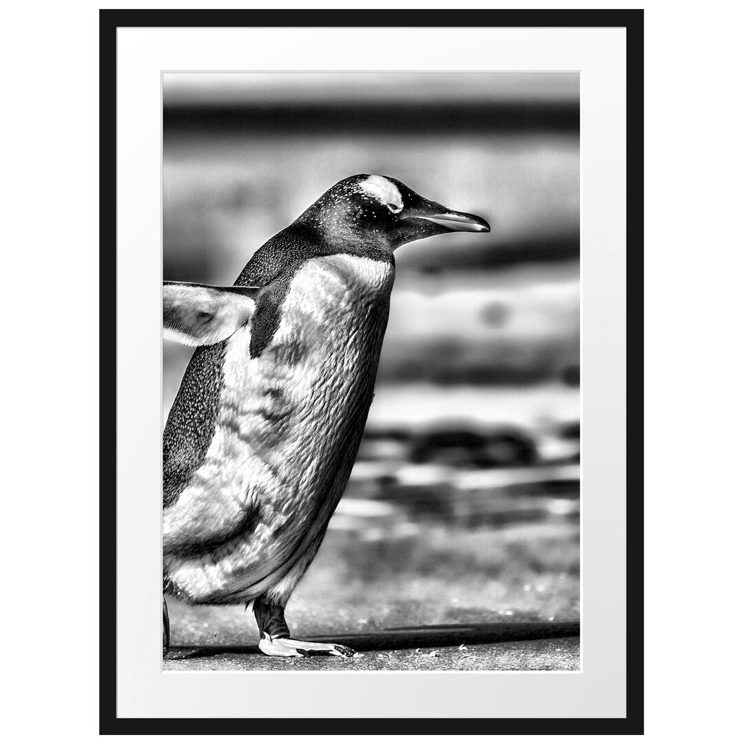 Gerahmtes Poster Pinguin am Strand