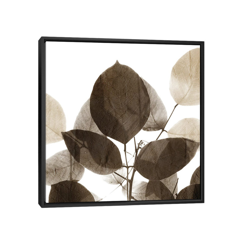 «Chocolate Leaves I» par - Toile tendue, Toile avec cadre noir, H 26 po x l 26 po x P 1,5 po