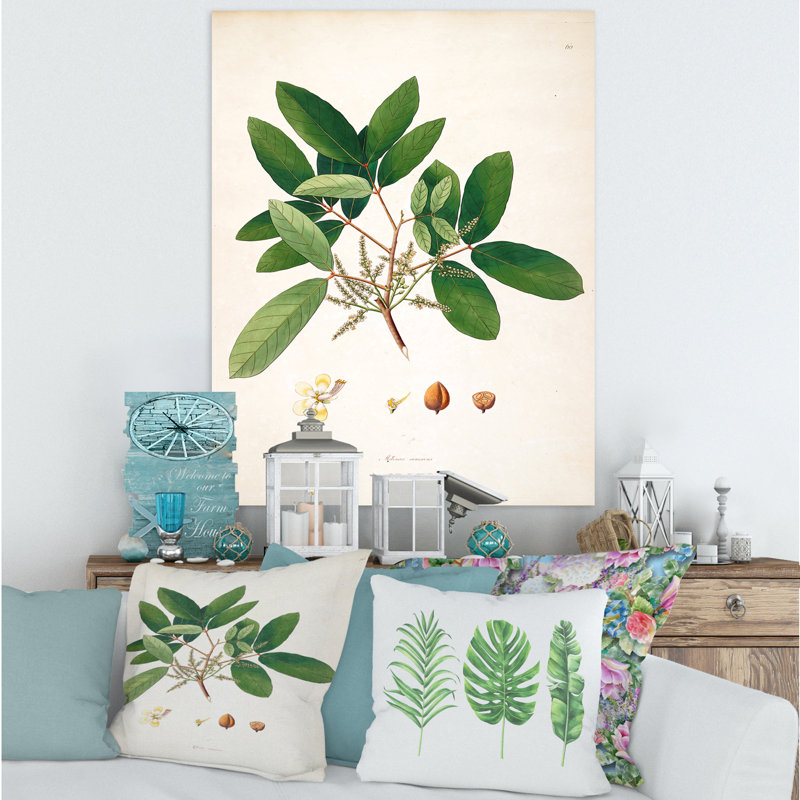 Vintage Botanicals II - peinture sur toile, H 40 po x l 30 po x 1,5 po, Toile tendue