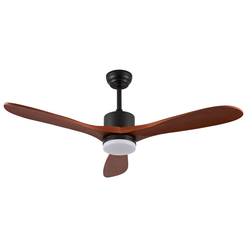 Aarshiya 52'' Ceiling Fan with LED Lights