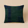 Indoor and Outdoor Throw Pillow