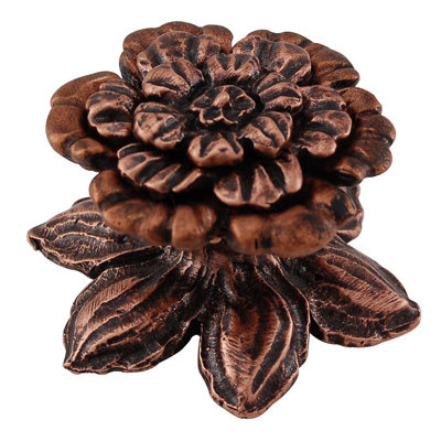 Carlotta Novelty Knob