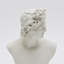Ivory Neo-Classical Bust Sculpture – Matte Resin Decorative Accent (35 cm) 