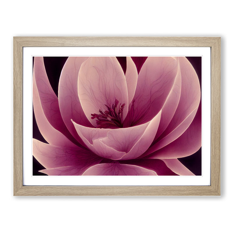 Gracious Carnation Flower Abstract - Single Picture Frame Print, 34cm H x 46cm W x 2cm D, Oak Framed