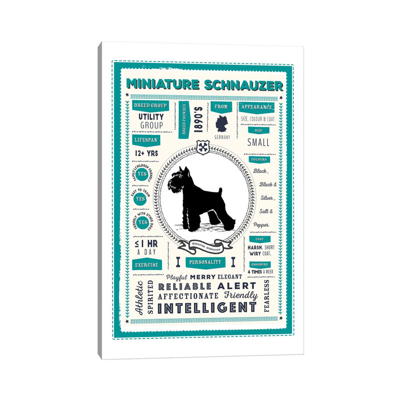Miniature Schnauzer Infographic Blue by PaperPaintPixels - Wrapped Canvas Print, 20.32 cm H x 30.48 cm W