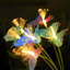 Butterfly solar courtyard ground mounted lights