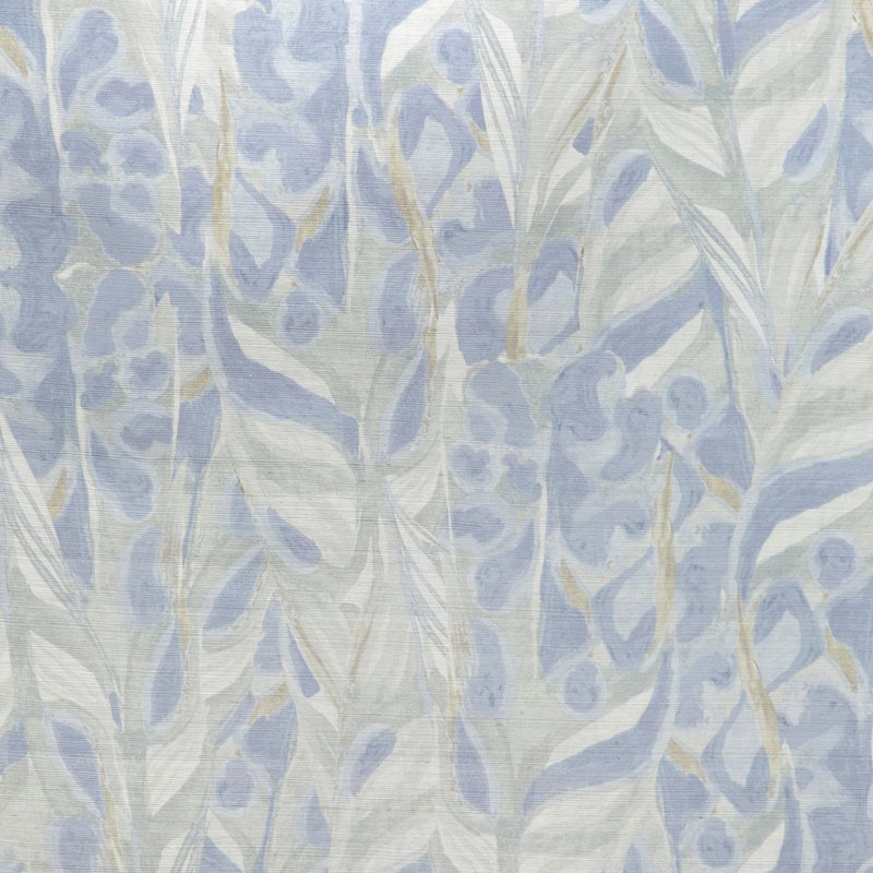 Caspia Wp - Amsonia, Amsonia
