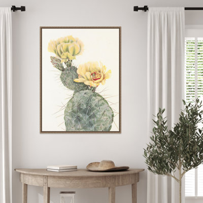Missouri Prickly Pear From North American Wildflowers (1925) by Mary Vaux Walcott Framed Canvas Wall Art Print