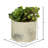 8'' Faux Succulent Plant