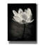«Lotus Flower X» par Debra Van Swearingen, art mural sur toile-395945869