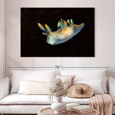 Sea Slug In Dark Waters