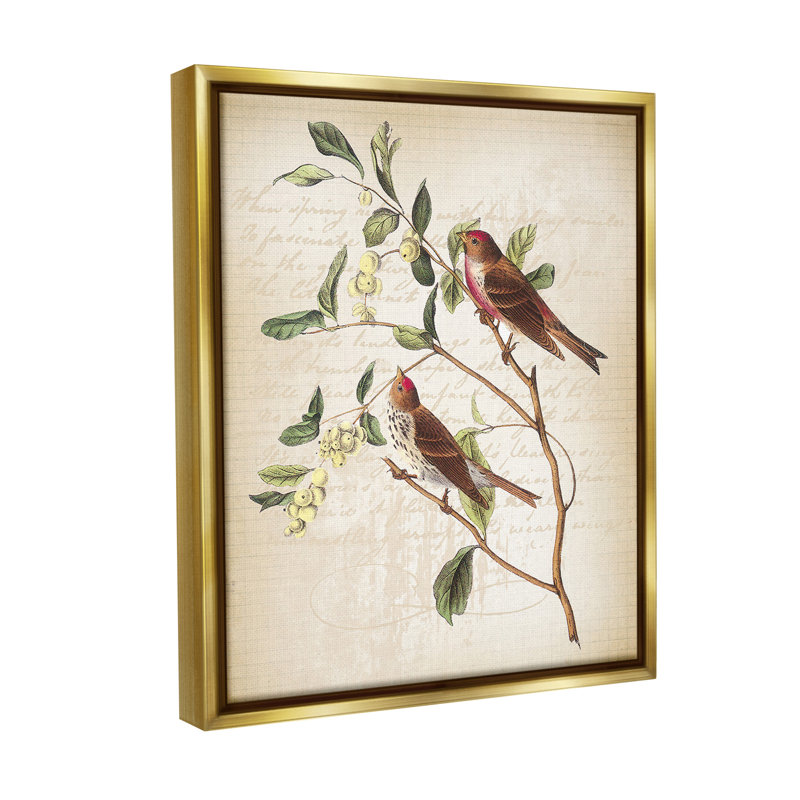 "Birds With Vintage Cursive" par Lula Bijoux & Co. sur toile, Or, H 31 po x l 25 po