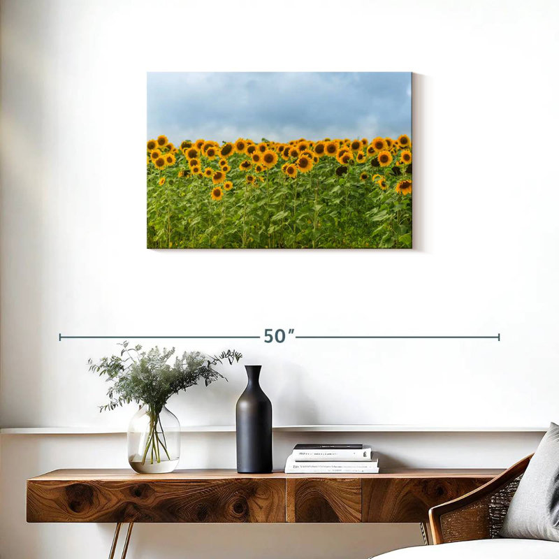 Tournesols Alvord, H 20 po x l 30 po