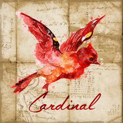 «Cardinal» par Brandi Fitzgerald, reproduction d'art mixte 36 x 36, reproduction d'art POD