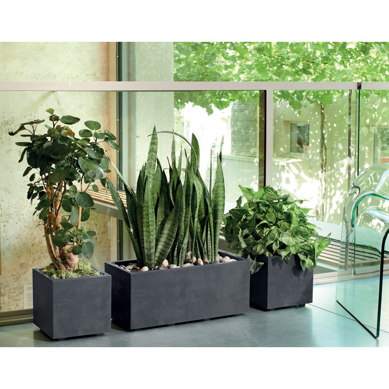 Millennium Trough, Anthracite, 25cm H x 59cm W x 25cm D