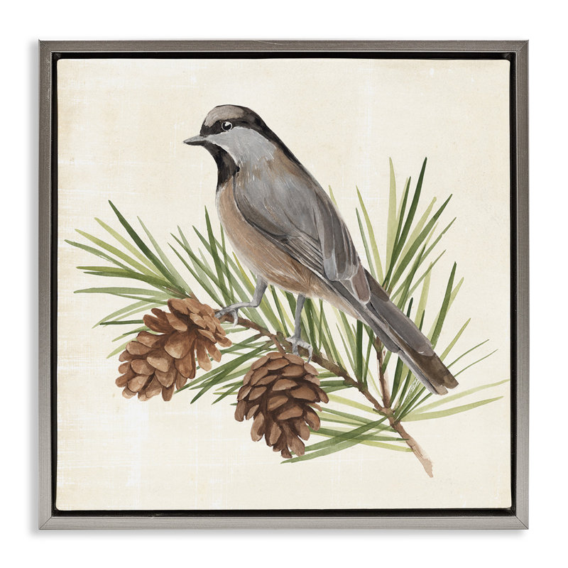 Oiseau sur pin, Cadre flottant gris lustré, H 18 po x l 18 po